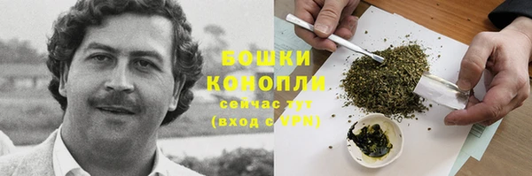ГАЛЛЮЦИНОГЕННЫЕ ГРИБЫ Абдулино
