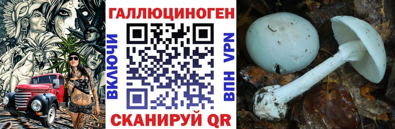 Галлюциногенные грибы MAGIC MUSHROOMS  кракен ССЫЛКА  Комсомольск-на-Амуре 